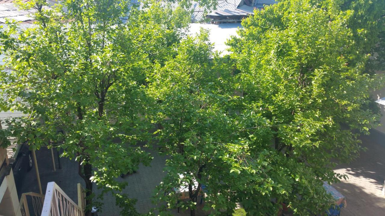 Gulnara Guesthouse Taszkent Zewnętrze zdjęcie